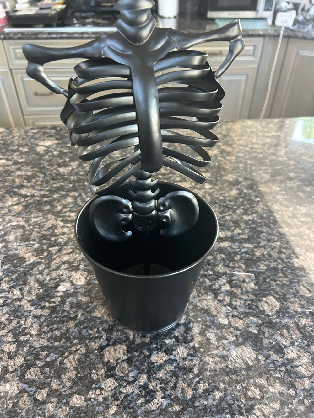 ASHLAND  14" METAL SKELETON PLANTER NWT